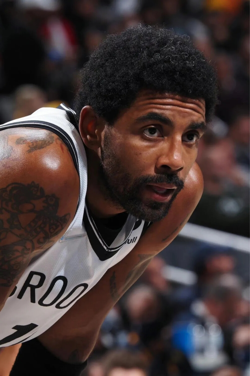 新雪季开板 华东地区滑雪爱好者迎来冬季新选择（新雪季开滑，华东滑雪爱好者迎来全新冬季选择）